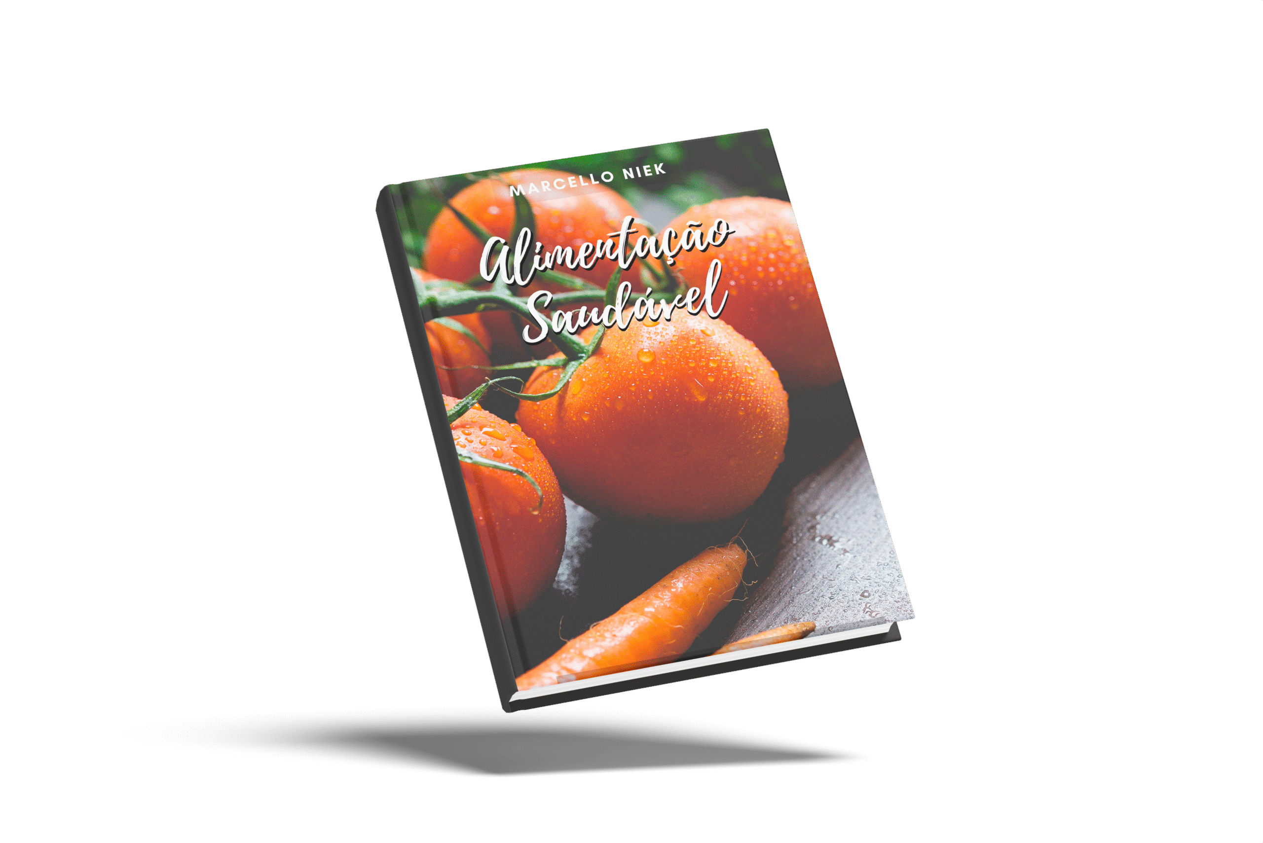 Alimentação - PDF